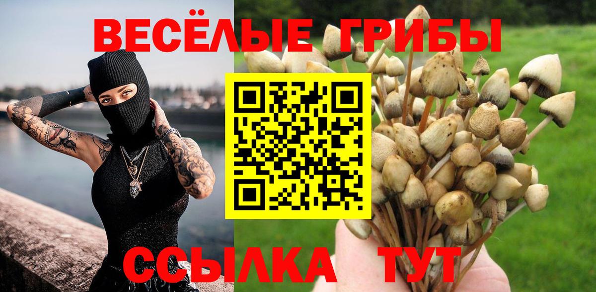 Ноябрьск  Псилоцибиновые грибы Psilocybine cubensis  Вход с VPN  Псилоцибиновые грибы мухоморы 